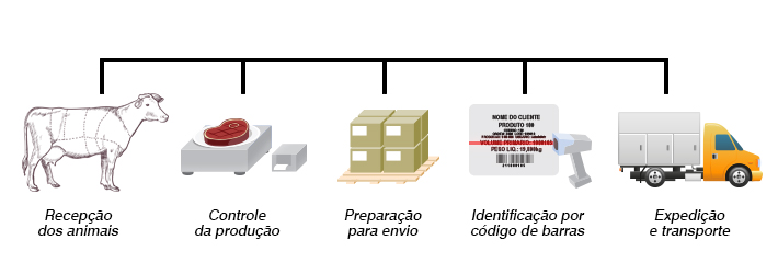 Cadeia de produção